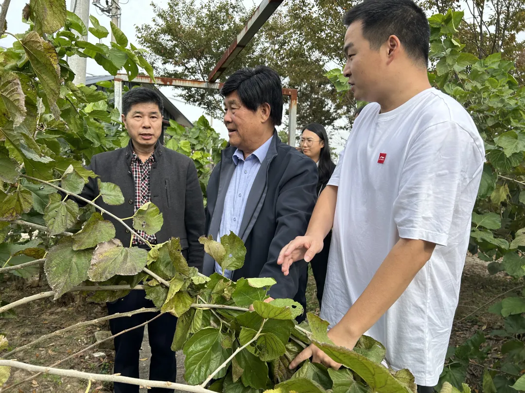 1733133294681138.png 1733133294681138.png